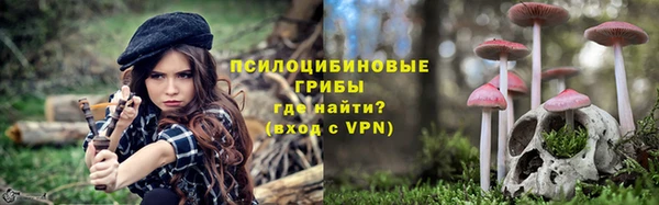 хмурый Алзамай